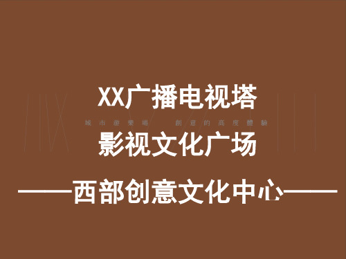 成都339项目定位策划实施计划方案