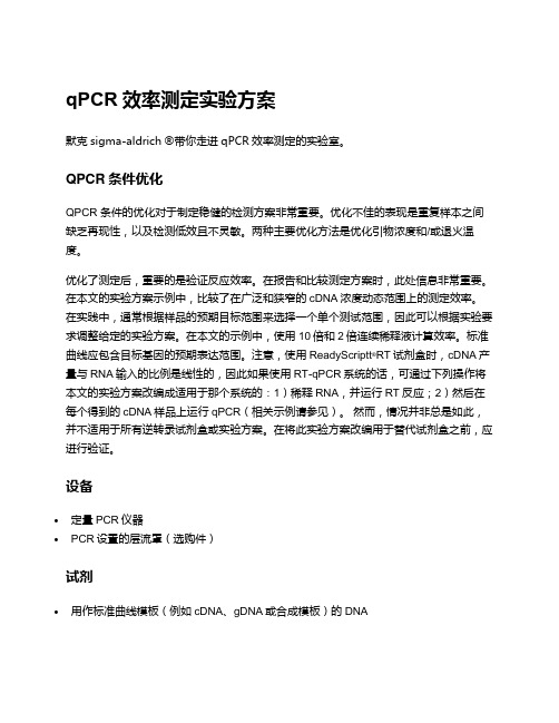 qPCR效率测定实验方案