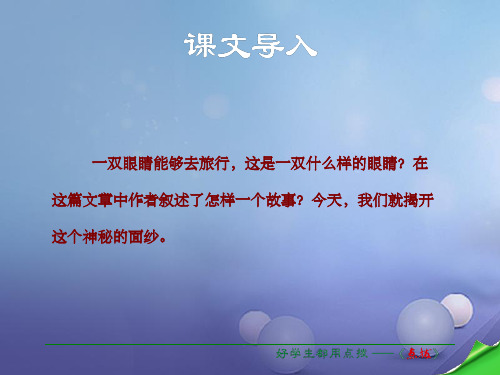 七年级语文下册 第6单元 23 带上她的眼睛 新人教版