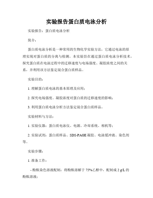 实验报告蛋白质电泳分析