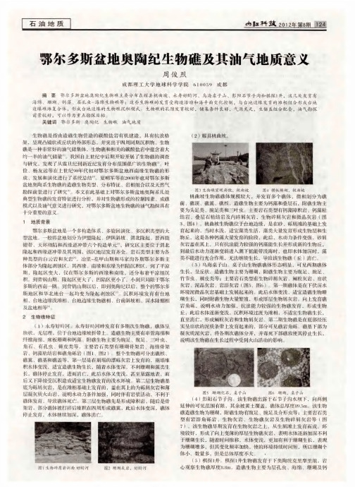 鄂尔多斯盆地奥陶纪生物礁及其油气地质意义
