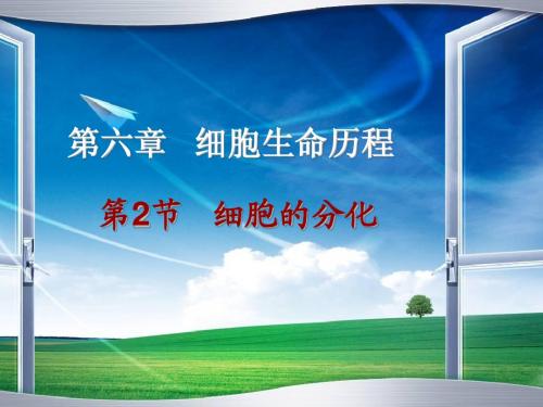 细胞分化说课 2
