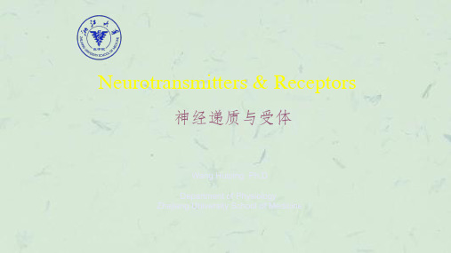 高级生理学-神经递质与受体(下)课件