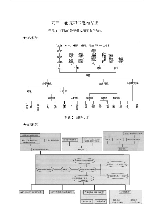 (完整版)高三生物二轮复习专题框架图.doc