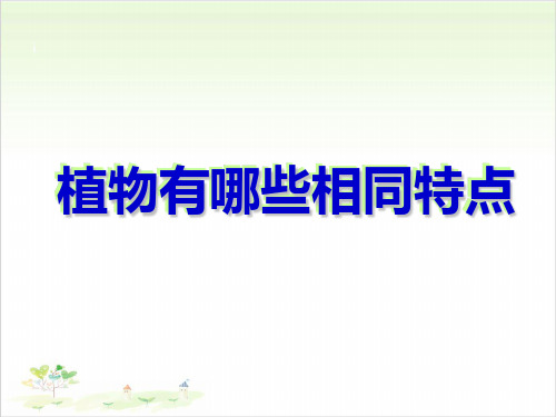 三年级上册公开课-植物有哪些相同特点教科版(33张)课件下载