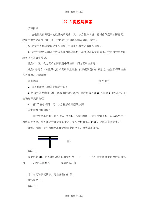 华师大版-数学-九年级上册-22.3 实践与探索(第1课时)导学案