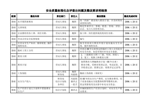 安全质量标准化自评表