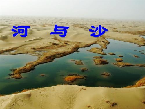 河与沙PPT4 鄂教版 (共17张PPT)