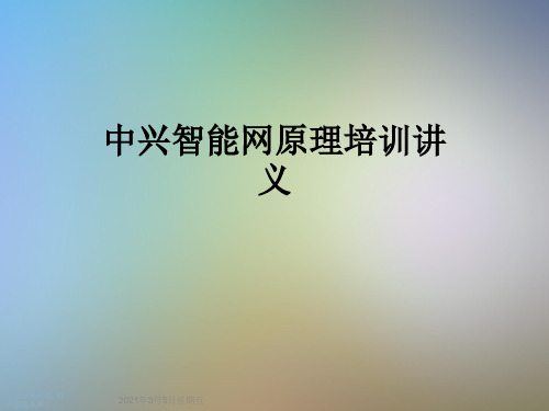 中兴智能网原理培训讲义