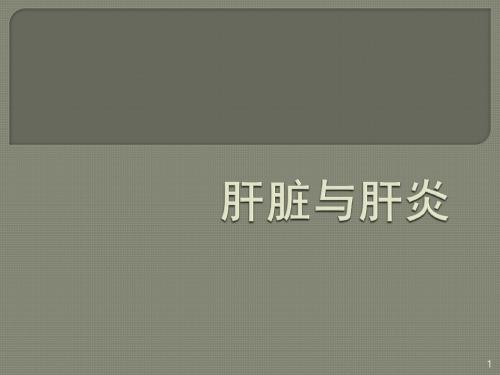 肝脏与肝炎ppt课件