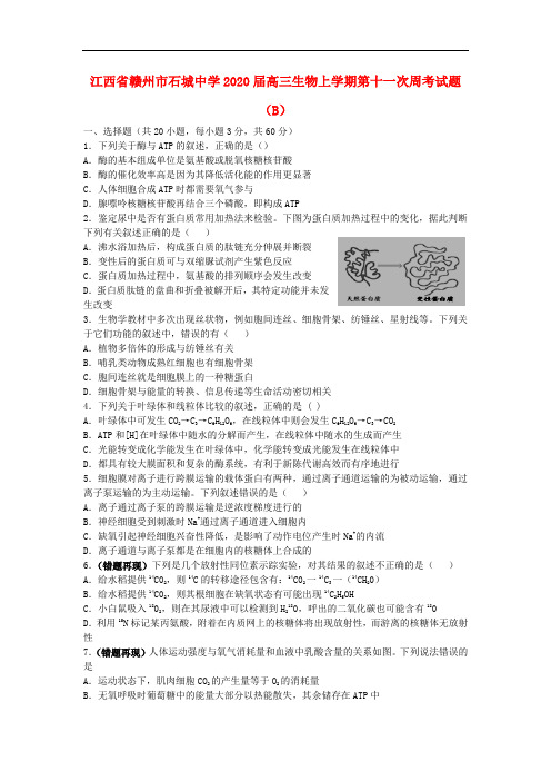 江西省赣州市石城中学2020届高三生物上学期第十一次周考试题B202002030369