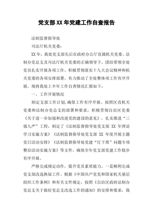 党支部XX年党建工作自查报告