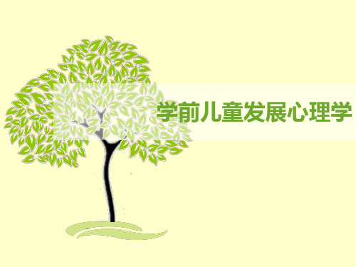 第三章  学前儿童感知觉的发展