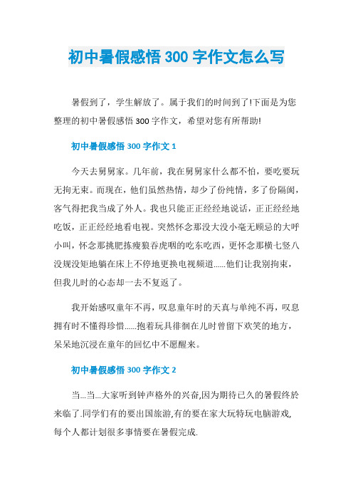 初中暑假感悟300字作文怎么写