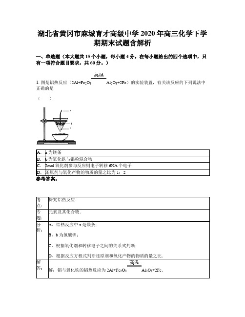湖北省黄冈市麻城育才高级中学2020年高三化学下学期期末试题含解析