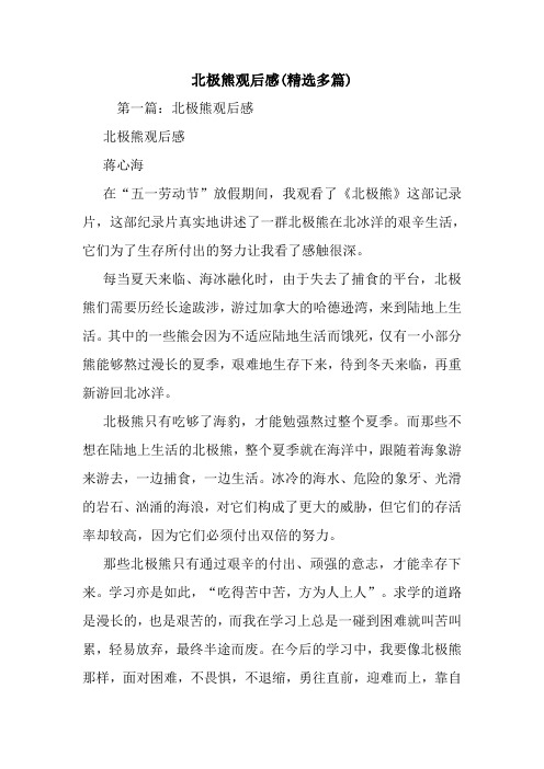 最新北极熊观后感(精选多篇)