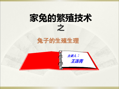 兔子的生殖生理