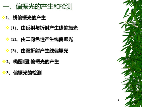 偏振光的产生检测和旋光现象