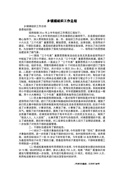 乡镇镇组织工作总结