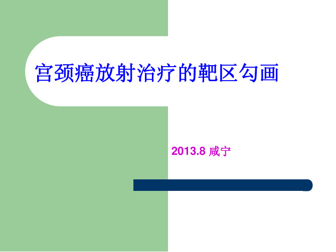 宫颈癌靶区勾画