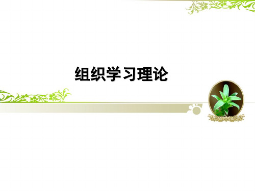 组织学习理论