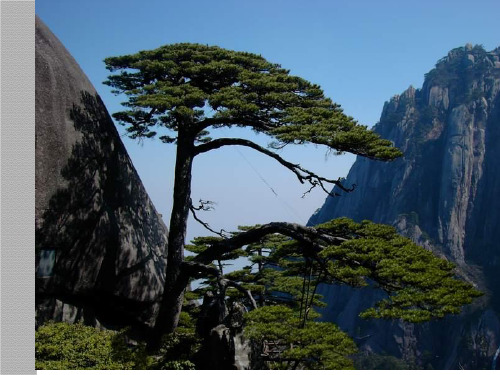 人教版高中地理选修三旅游地理 第二章第一节《旅游资源的分类与特性》优质课件(共47张PPT)