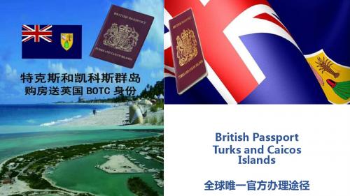 英属TCI购房护照项目