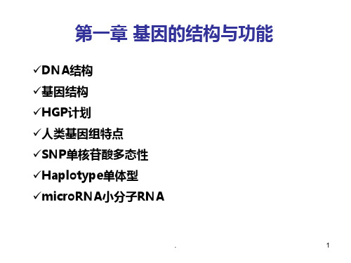 基因的结构与功能PPT课件