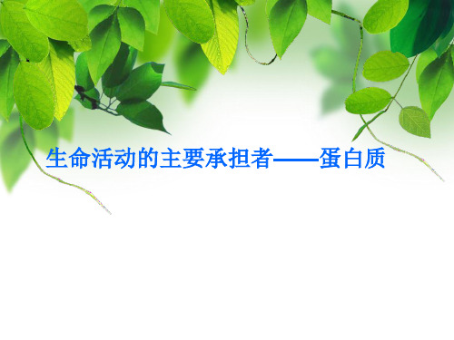 生命活动的主要承担者——蛋白质(说课)