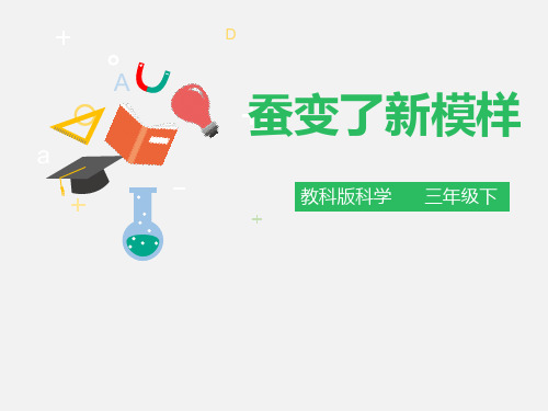 教科版三年级科学下册《蚕变了新模样》PPT课件(5篇)