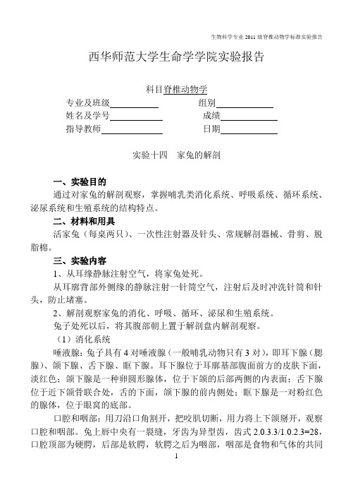 实验十四  家兔的解剖