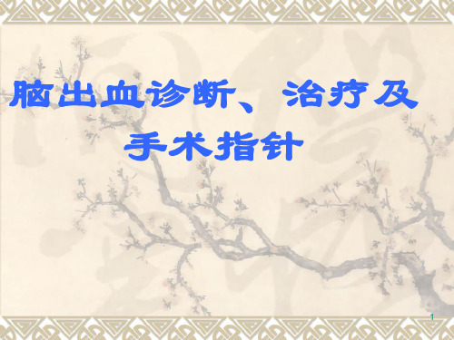脑出血诊断治疗及手术指针ppt课件