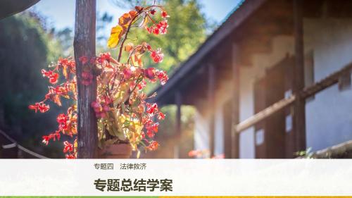 高中政治专题四法律救济专题总结课件新人教版选修5