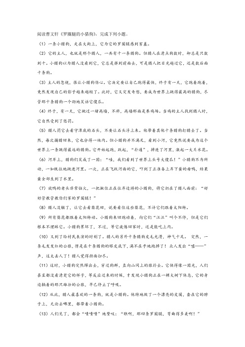 曹文轩《罗圈腿的小猎狗》阅读练习及答案