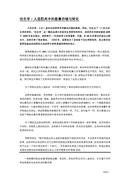仿生学：人造肌肉中的能量存储与转化