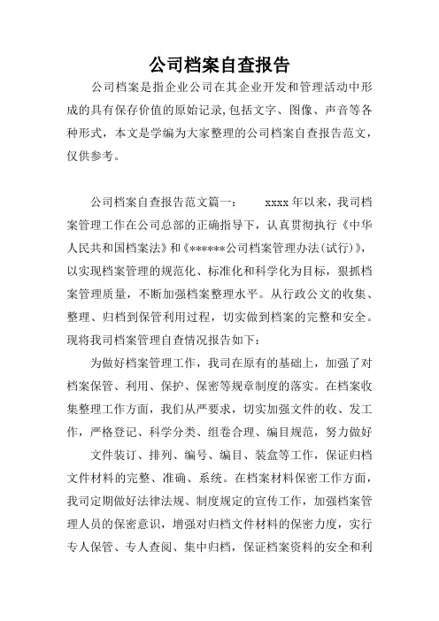 公司档案自查报告