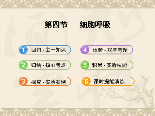 【全程复习方略】(浙江专用)高中生物 3.4细胞呼吸配套课件 浙科版必修1
