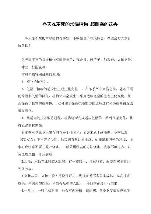 冬天冻不死的常绿植物 超耐寒的花卉