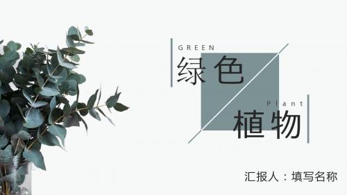 绿色植物小清新通用模板