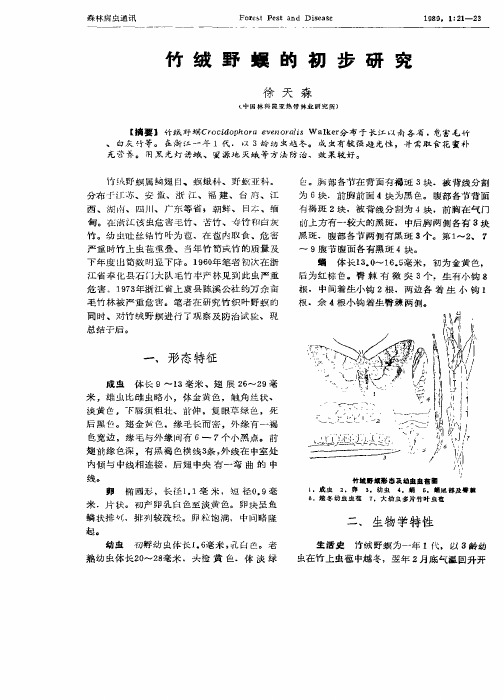 竹绒野螟的初步研究