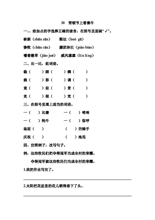 语文S版语文三年级下册第8单元30雪顿节上看赛牛(课时训练) 课后练习试卷一课一练