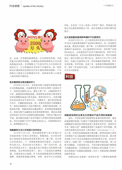 鸡肠道饲用抗生素及天然替抗产品作用机制破解