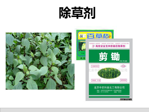 第五章 除草剂