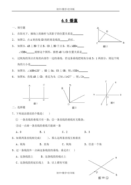 苏科版-数学-七年级上册- 6.5 垂直同步练习