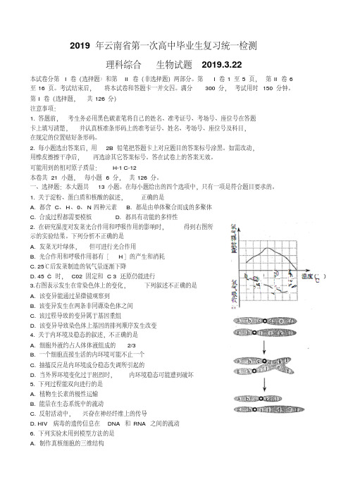 云南省2019届高三下学期第一次高中毕业生复习统一测试理综