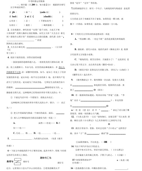 中考复习积累与运用精选100题.docx