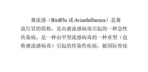 认识一下禽流感