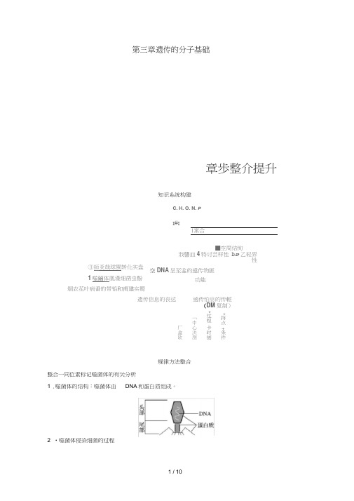 高中生物第三章遗传的分子基础章末整合提升教学案浙科版必修