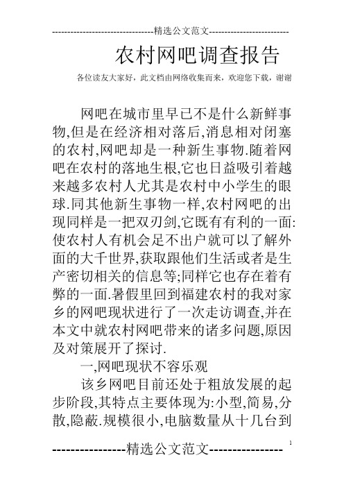 农村网吧调查报告