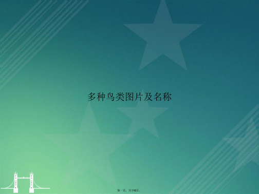 多种鸟类图片及名称讲课文档